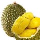 DURIAN